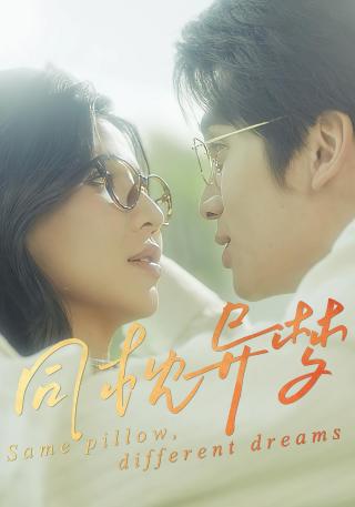 短剧同枕异梦海报