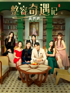 短剧整容奇遇记海报