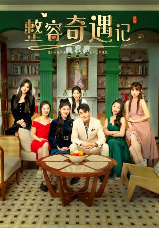 短剧整容奇遇记海报