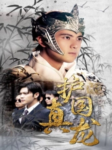 短剧护国真龙海报