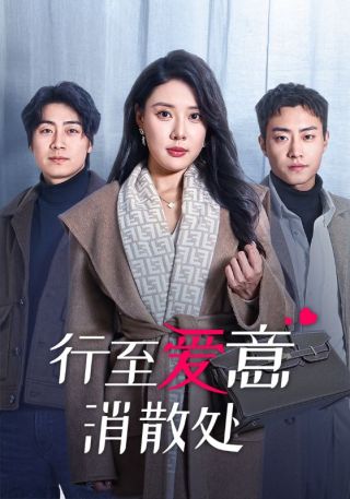 短剧行至爱意消散处海报