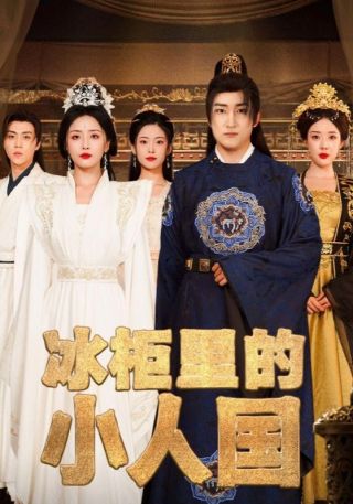 短剧冰柜里的小人国海报