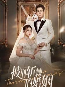 短剧披荆斩棘的婚姻海报