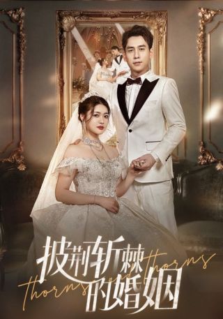 短剧披荆斩棘的婚姻海报