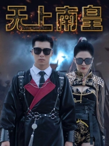 短剧无上南皇海报