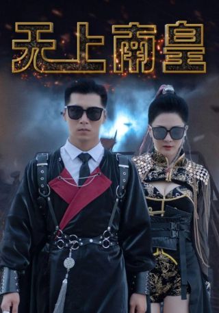 短剧无上南皇海报