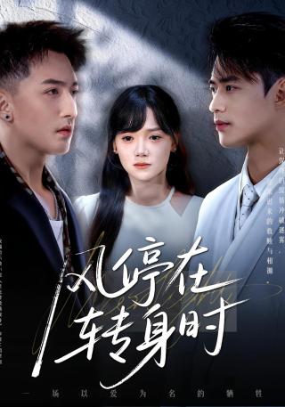 短剧风停在转身时海报