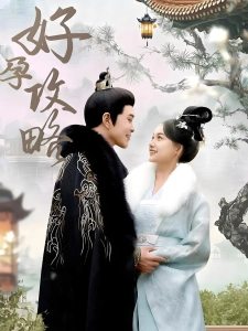 短剧好孕攻略海报