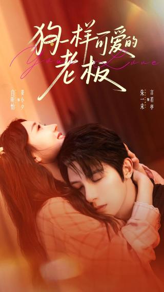 短剧狗一样可爱的老板海报