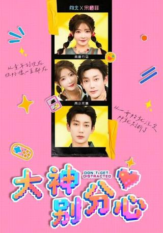 短剧大神别分心海报