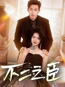 短剧不二之臣海报