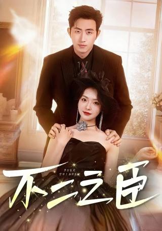 短剧不二之臣海报