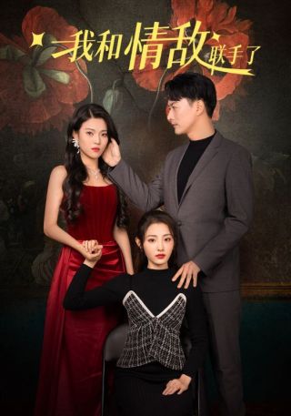 短剧我和情敌联手了海报