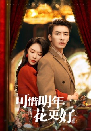 短剧可惜明年花更好海报