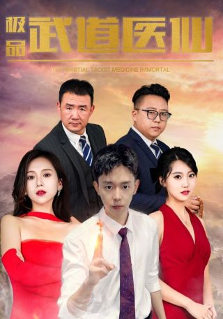 短剧极品武道医仙海报
