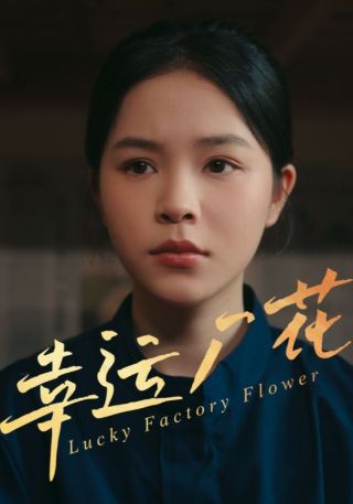 短剧幸运厂花海报