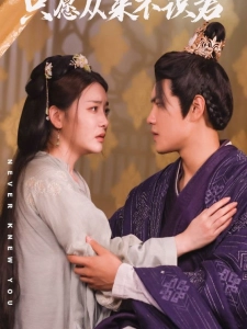 短剧只愿从来不识君海报