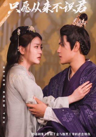 短剧只愿从来不识君海报