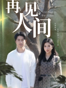 短剧再见人间海报