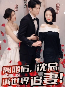 短剧离婚后，沈总满世界追妻海报