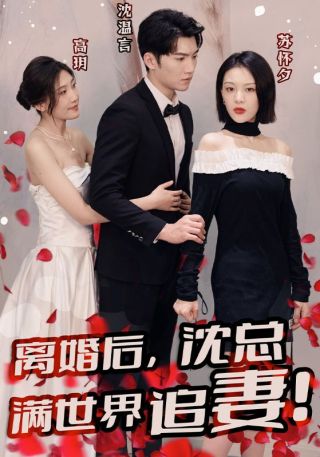 短剧离婚后，沈总满世界追妻海报