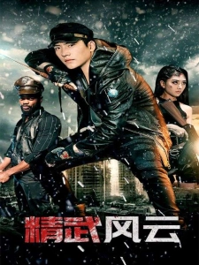 短剧精武风云海报