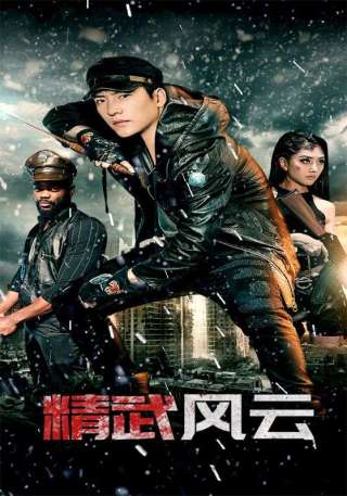 短剧精武风云海报