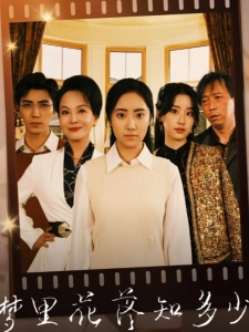 短剧梦里花落知多少海报