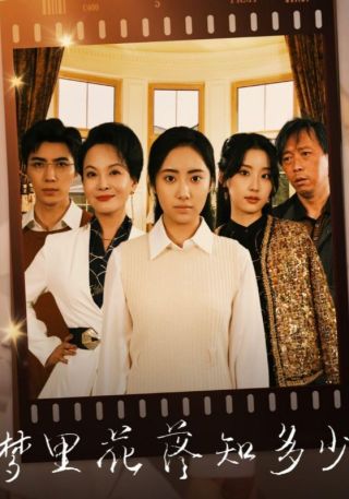 短剧梦里花落知多少海报