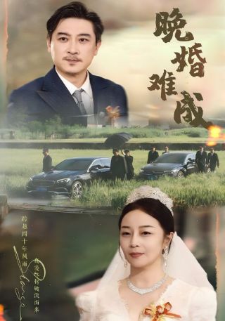 短剧晚婚难成海报