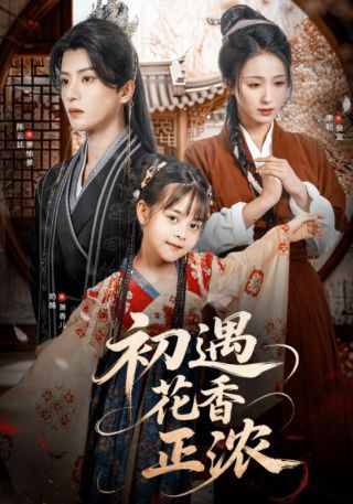 短剧初遇花香正浓海报