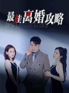 短剧最佳离婚攻略海报