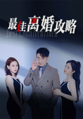 短剧最佳离婚攻略海报