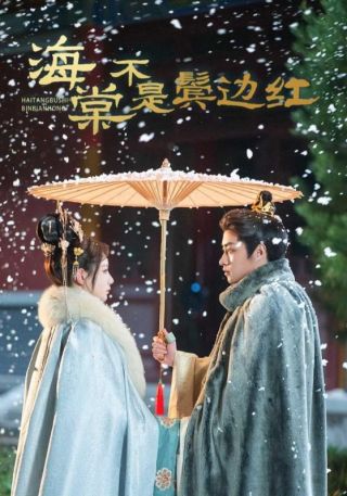 短剧海棠不是鬓边红海报