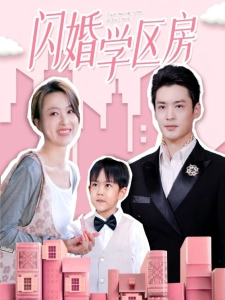 短剧闪婚学区房海报