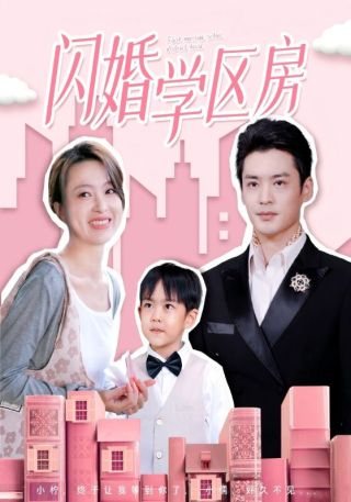 短剧闪婚学区房海报