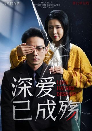 短剧深爱已成殇海报