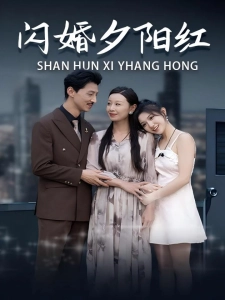 短剧闪婚夕阳红海报