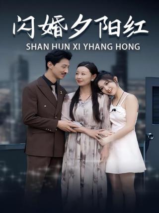 短剧闪婚夕阳红海报