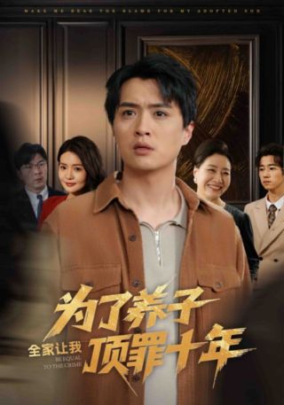 短剧为了养子全家让我顶罪十年海报