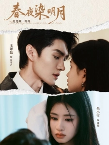 短剧春夜染明月海报