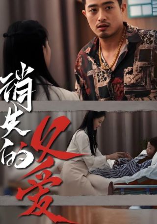 短剧消失的父爱海报