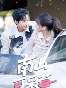 短剧南山可采莓海报