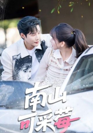 短剧南山可采莓海报