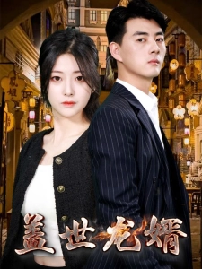 短剧盖世龙婿海报