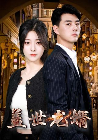 短剧盖世龙婿海报