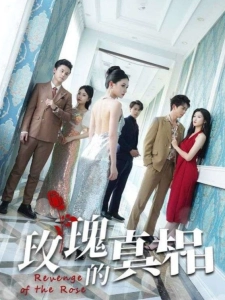 短剧玫瑰的真相海报