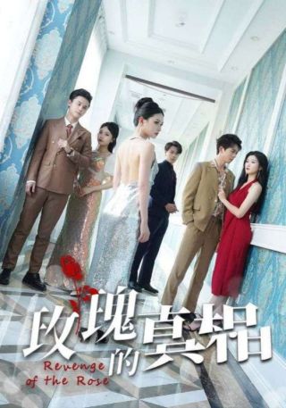 短剧玫瑰的真相海报