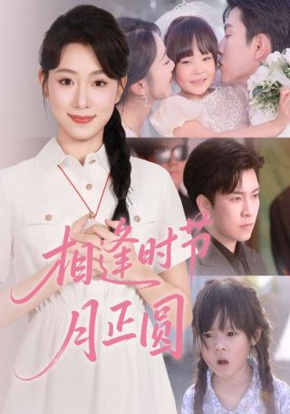 短剧相逢时节月正圆海报