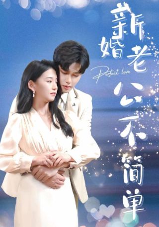 短剧新婚老公不简单海报